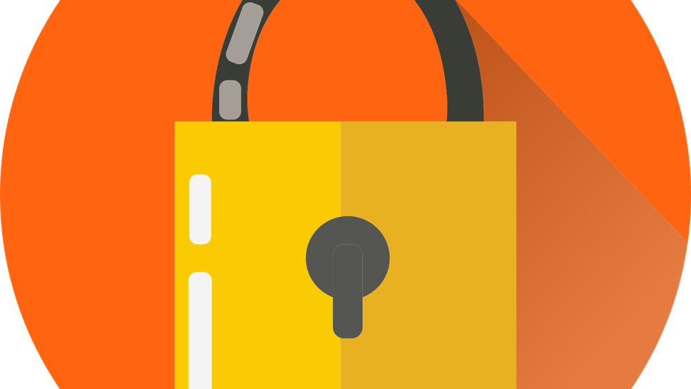 Free lock security key vector